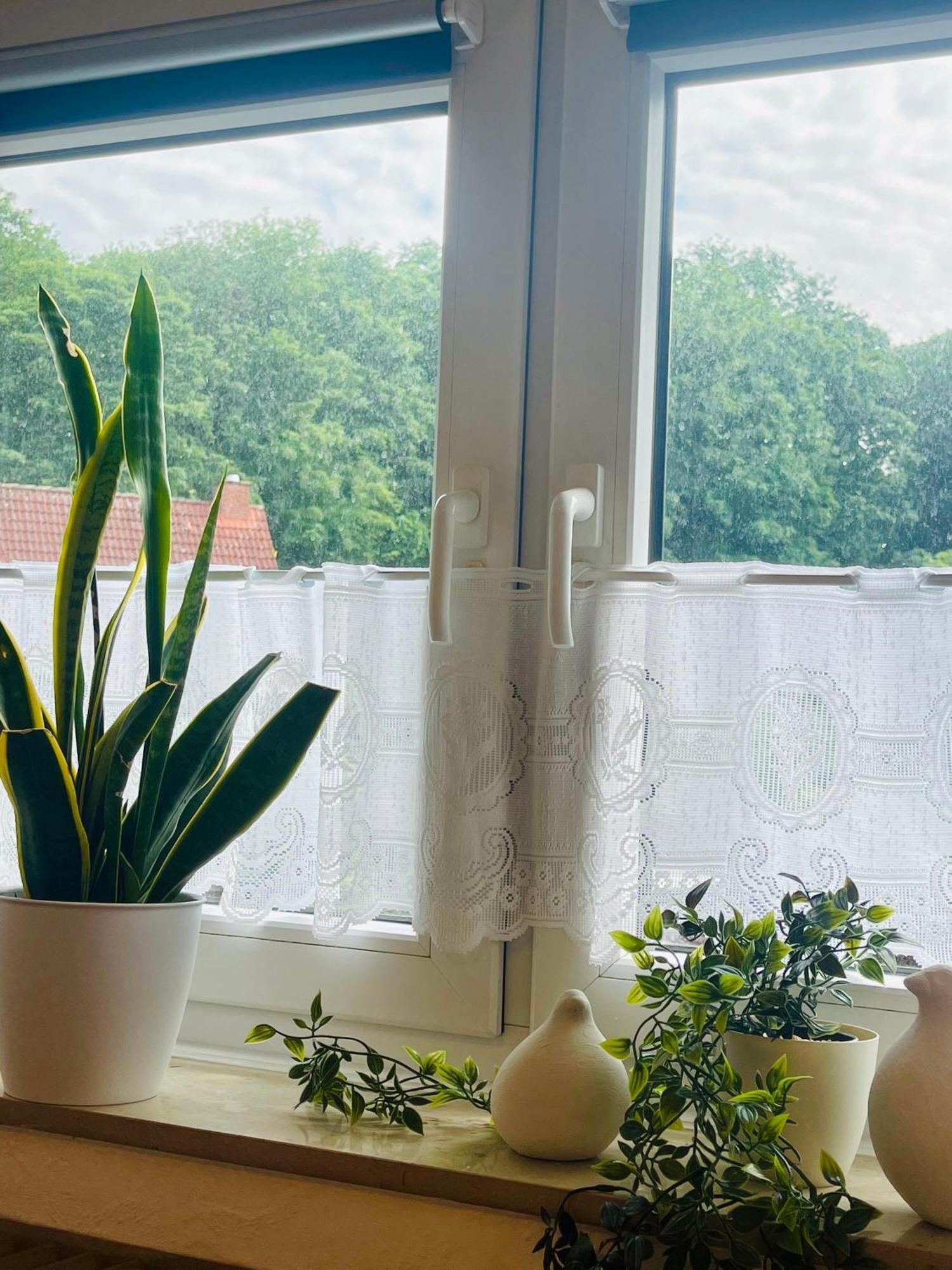 Stadtoase Am Julianenpark レーア エクステリア 写真